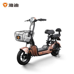電動(dòng)自行車圖片大全 各類款式產(chǎn)品圖賞與文化用品解析