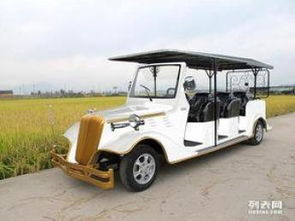 成都阿童木電動(dòng)觀光車價(jià)格與電動(dòng)巡邏車廠家綜述